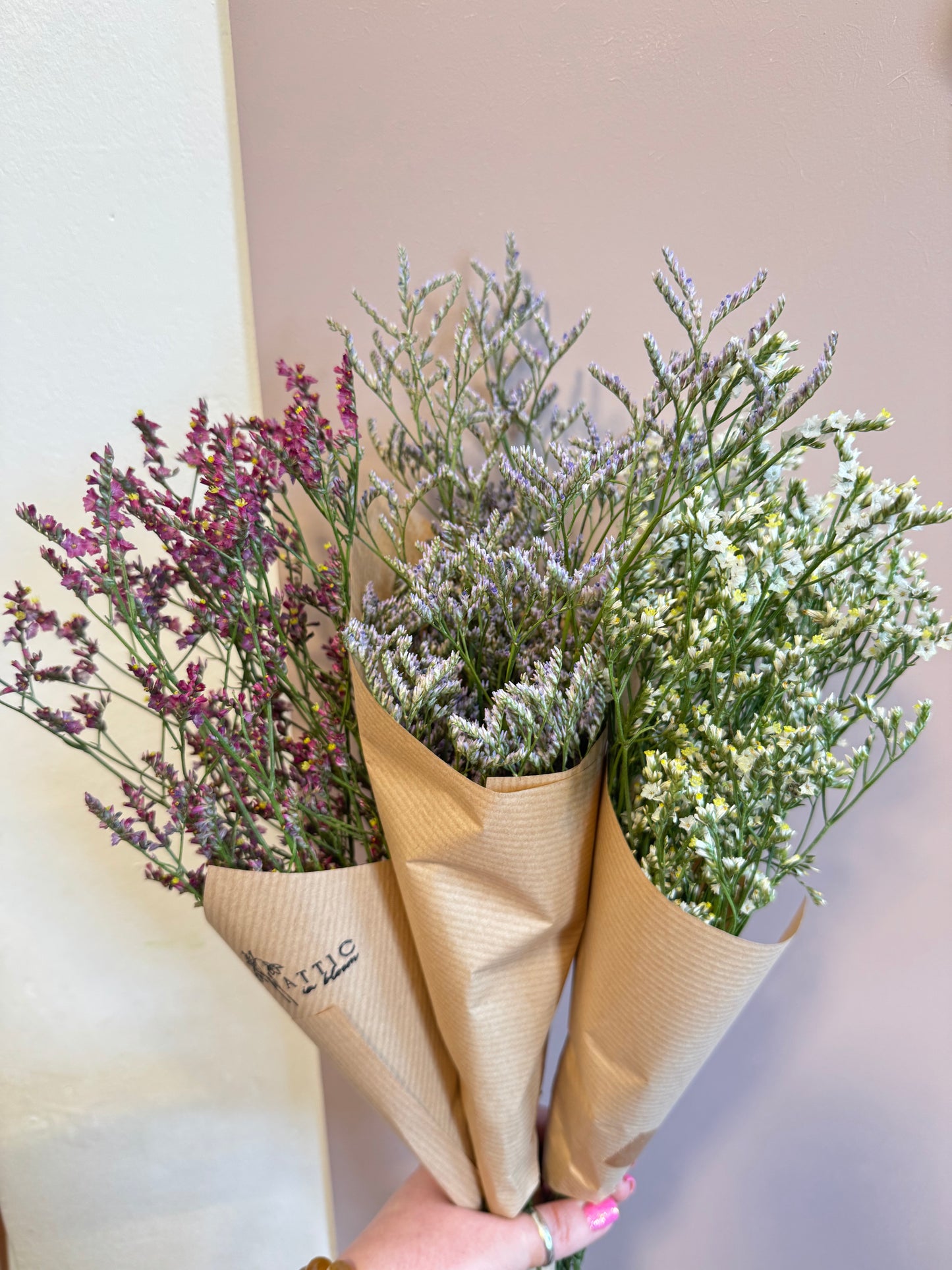 Limonium
