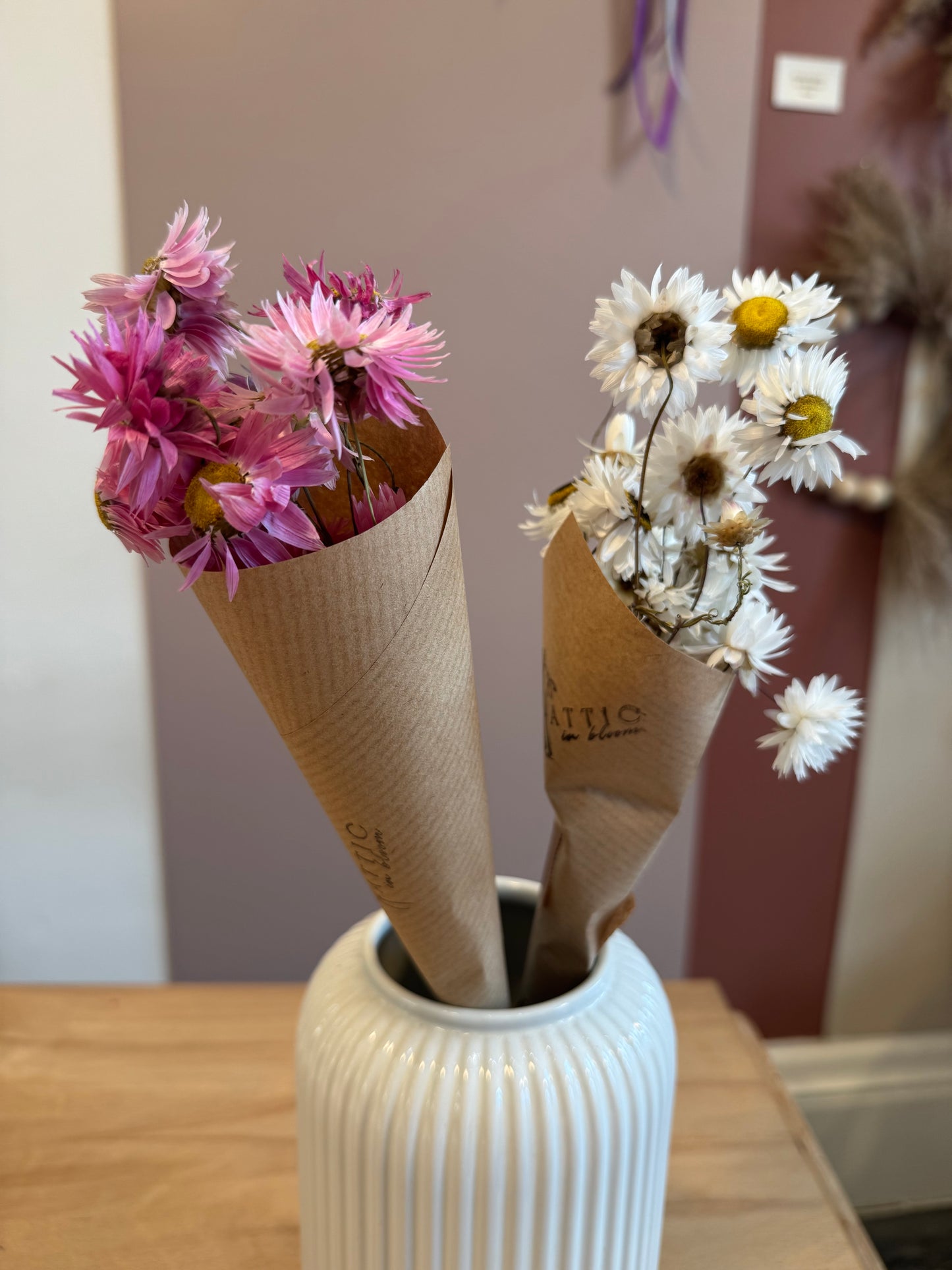 Acroclinium Daisy