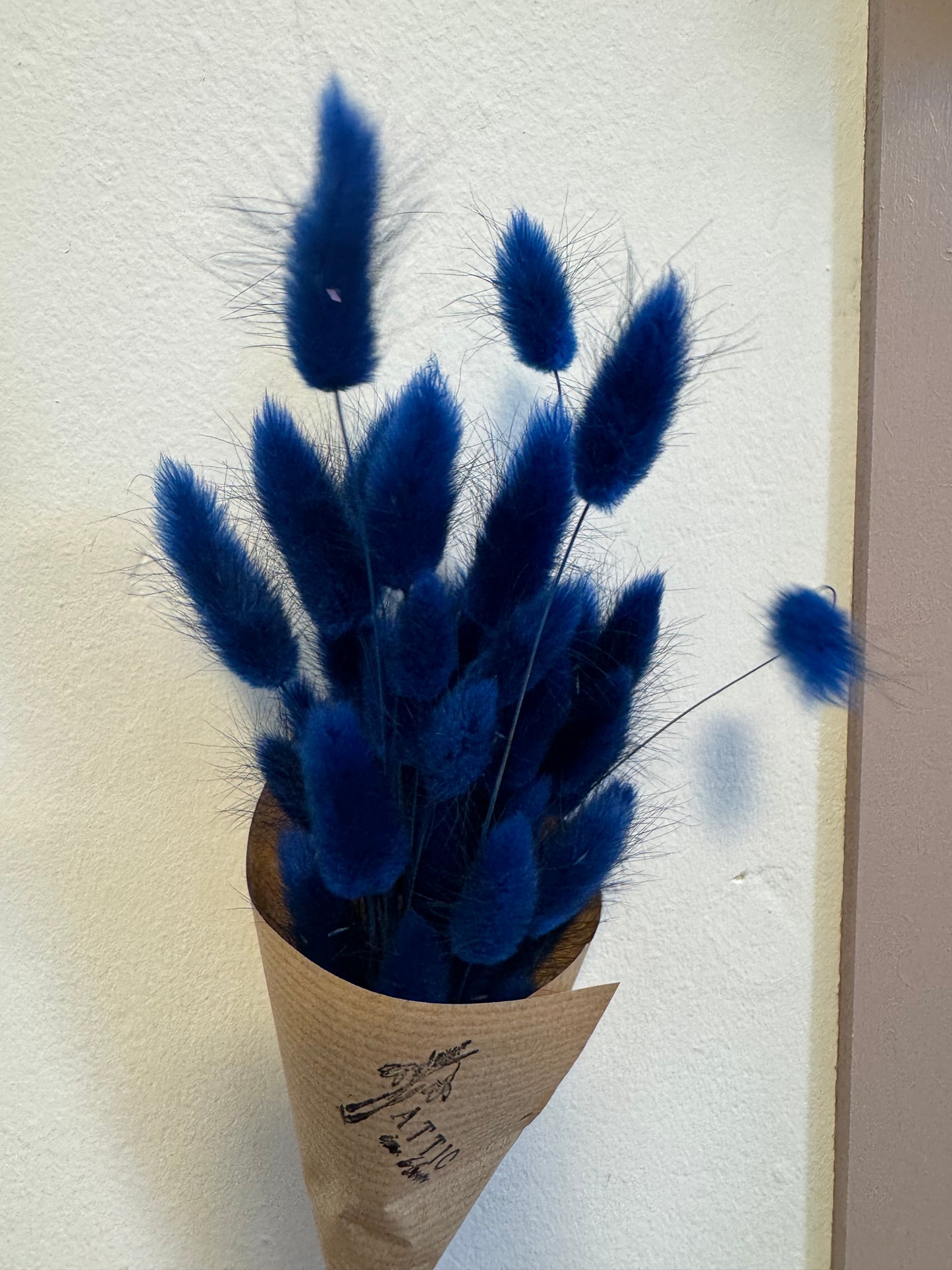 Bunny Tails