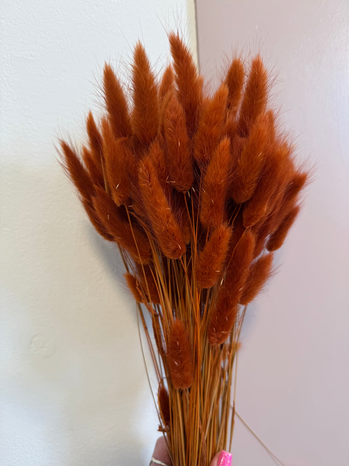 Bunny Tails