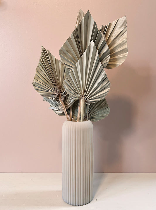 Dried Palm Fans