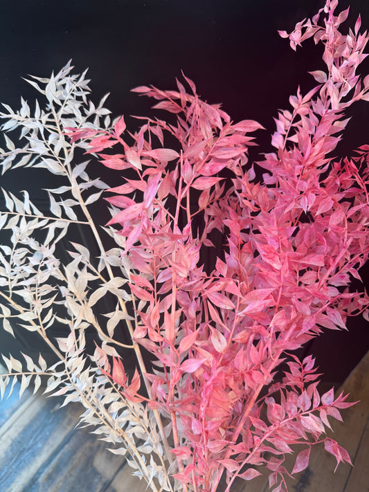 Coloured Preserved Ruscus