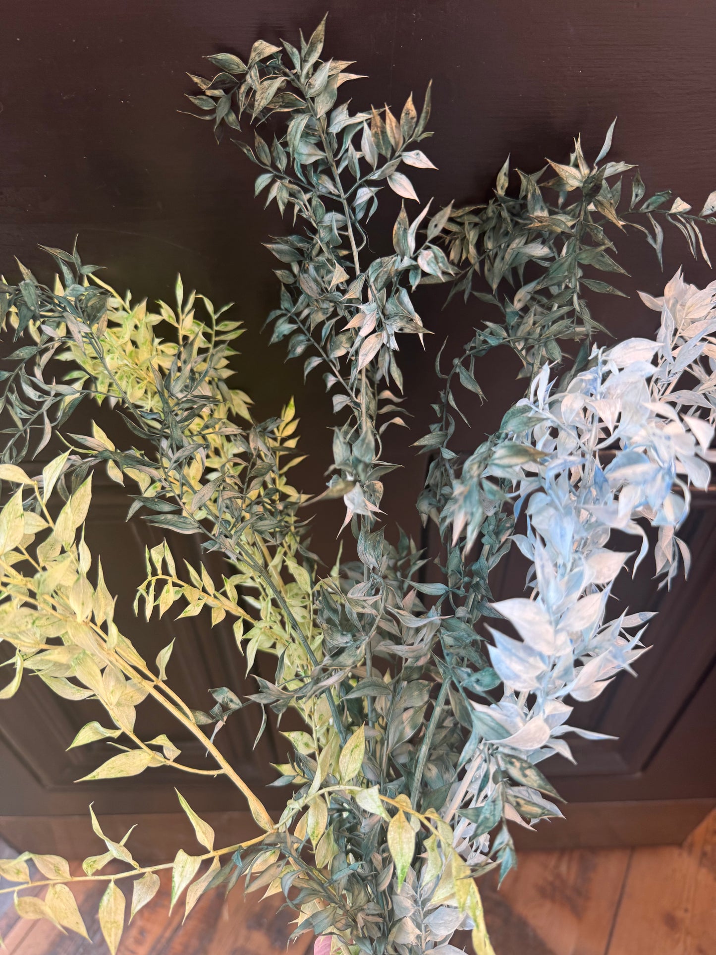 Coloured Preserved Ruscus