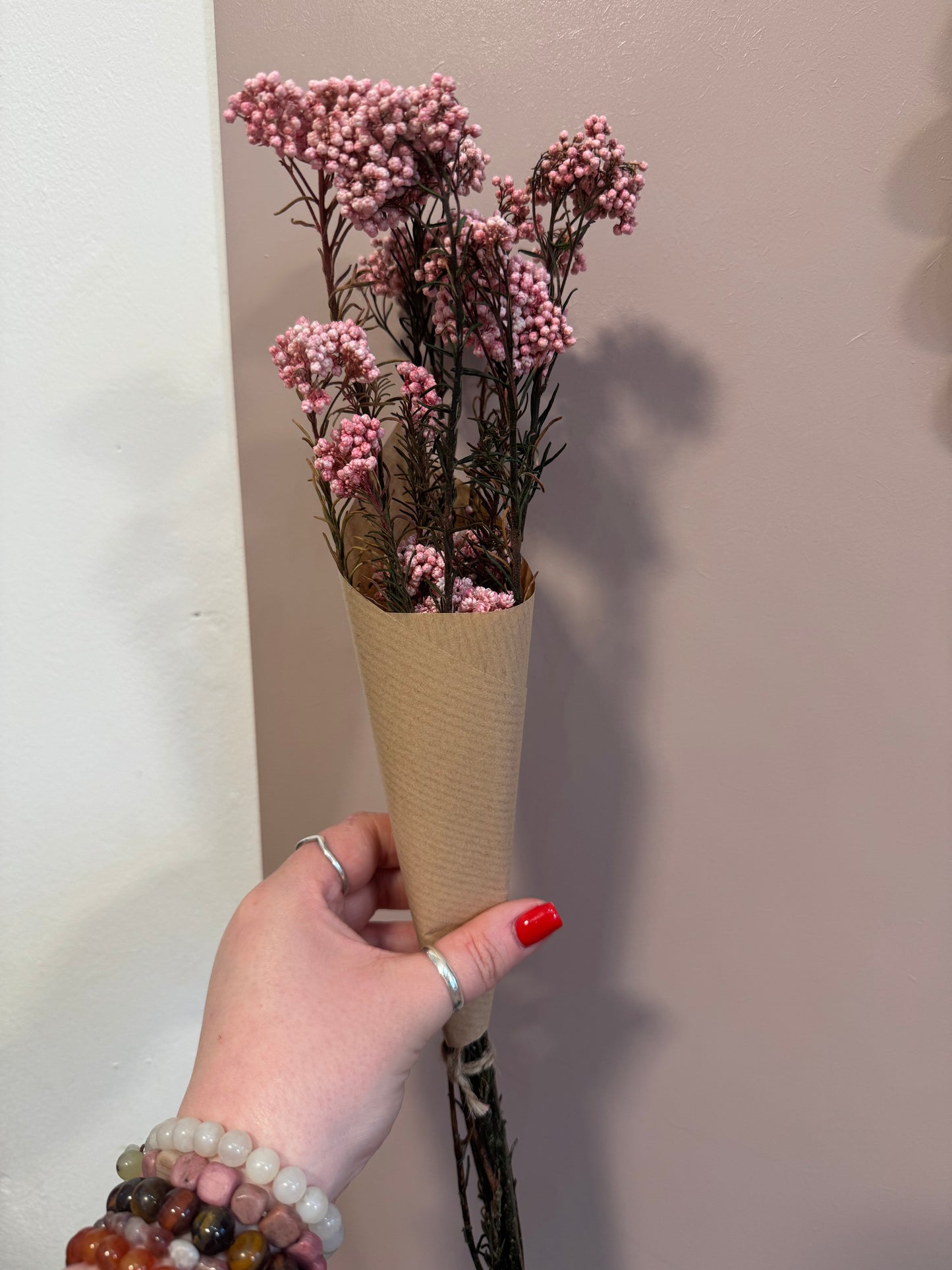 Ozothamnus