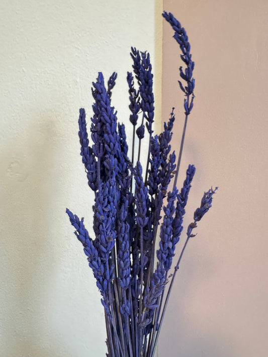Preserved Lavender