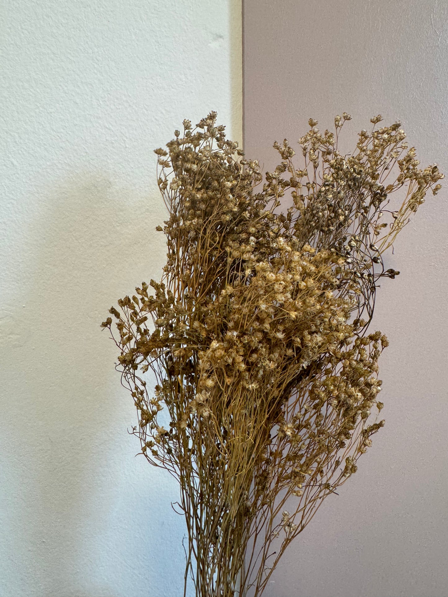 Natural Broom