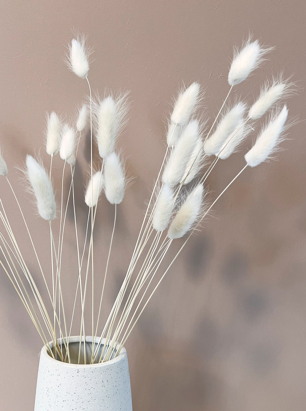 Dried Bunny Tails - bunch of 30