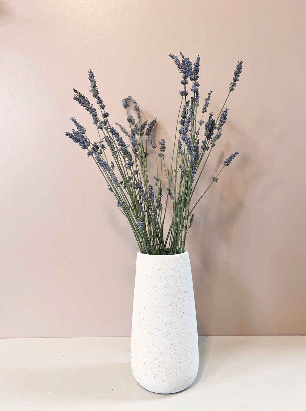 Dried lavender bunch